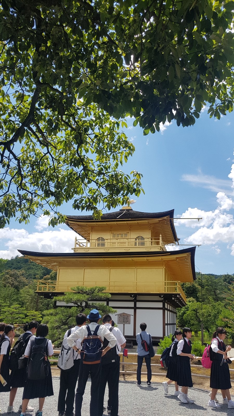KakaoTalk_Photo_2019-06-26-14-58-32.jpeg