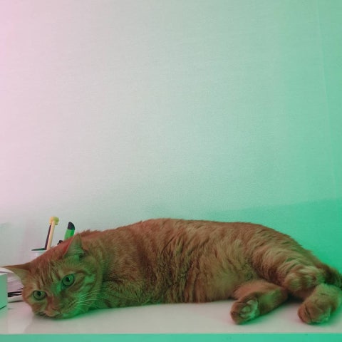 IMG_20190824_001549_949.jpg?type=w480