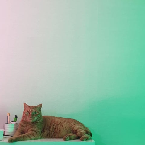 IMG_20190824_001549_945.jpg?type=w480