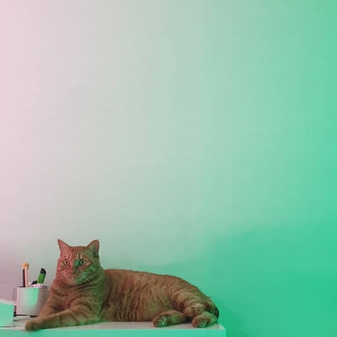 IMG_20190824_001549_950.jpg?type=w480