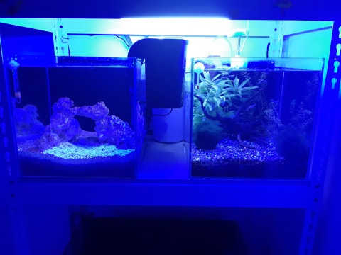 20191011_204805.jpg?type=w480