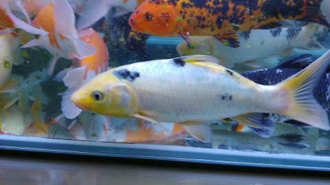 20191030_202218.jpg?type=w480