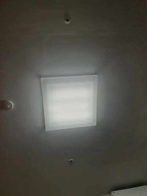 20191120_133818.jpg?type=w480