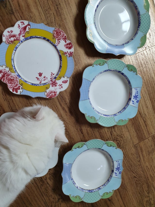 20191227_204322.jpg?type=w640