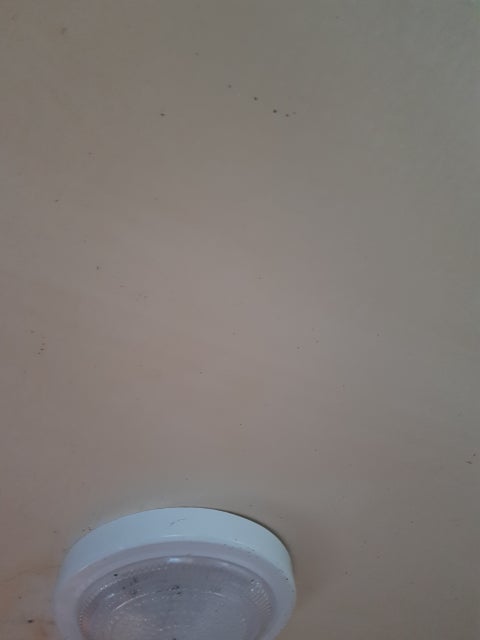 1579222462294.jpg?type=w480