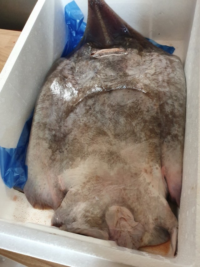 KakaoTalk_20200118_081841215.jpg?type=w640