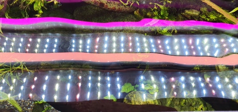 20200118_121145.jpg?type=w480