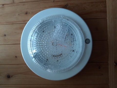 20200124_152347.jpg?type=w480