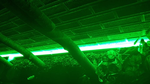 20200307_082820.jpg?type=w480