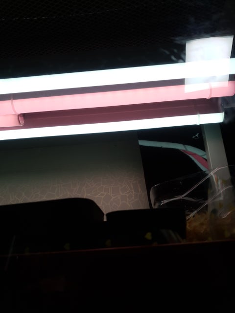 20200305_195759.jpg?type=w480