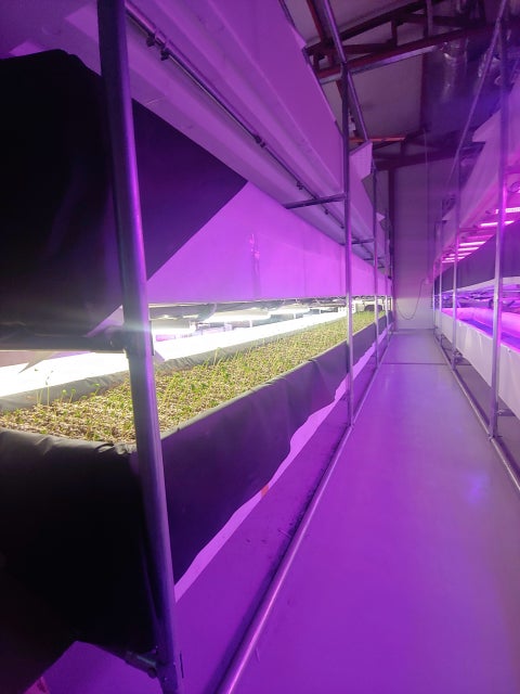 1584091904035.jpg?type=w480