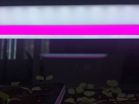 EED2367E-04B3-4808-B6FD-B3DCBB5CDBC1.jpeg?type=w480