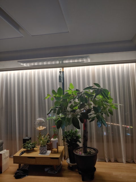 1585491836522.jpg?type=w480