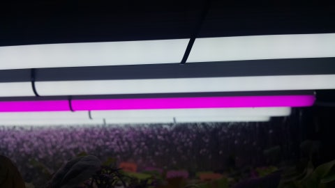 1586086434090.jpg?type=w480