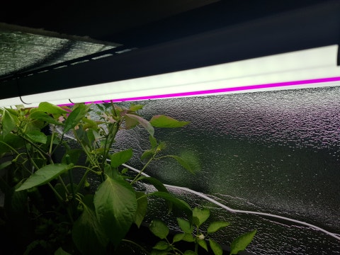 1586521886348.jpg?type=w480