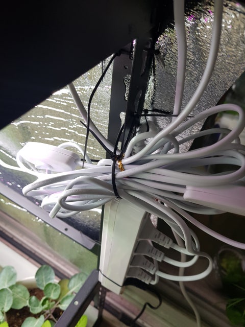 1586522012429.jpg?type=w480