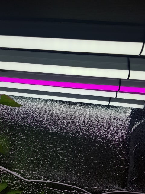 1586521829722.jpg?type=w480