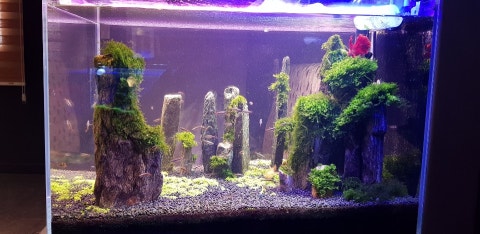 KakaoTalk_20200414_080529730.jpg?type=w480