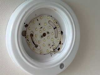 D342B40E-23E3-4A77-8BBE-FB3A307B44E8.jpeg?type=w480