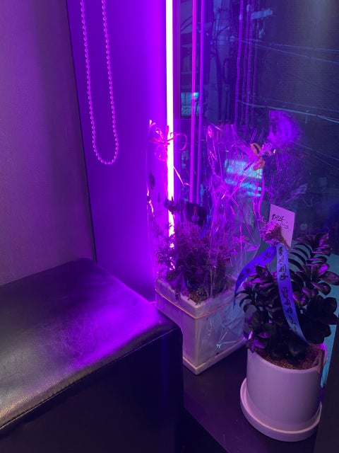 76F5686A-4959-4152-AC6F-54B6512FE3F9.jpeg?type=w480