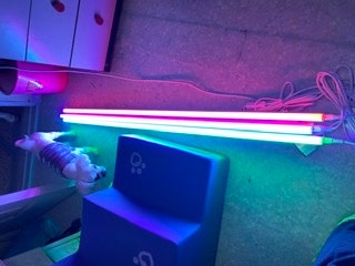 4D879086-D5F9-4256-A207-E443F3710249.jpeg?type=w480