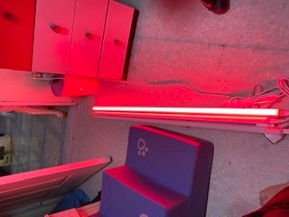 BF7B35F5-C575-4D70-ACEA-8E068824D9B2.jpeg?type=w480