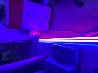 C02D7142-301D-46B1-916C-AF350141D343.jpeg?type=w480