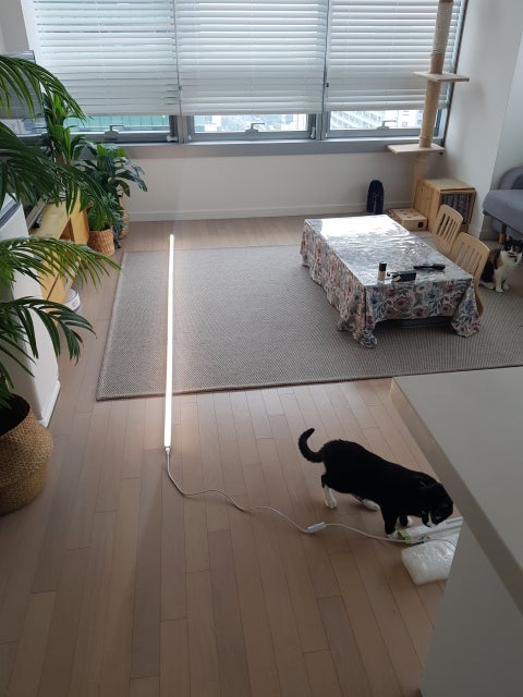 20200523_105653.jpg?type=w480