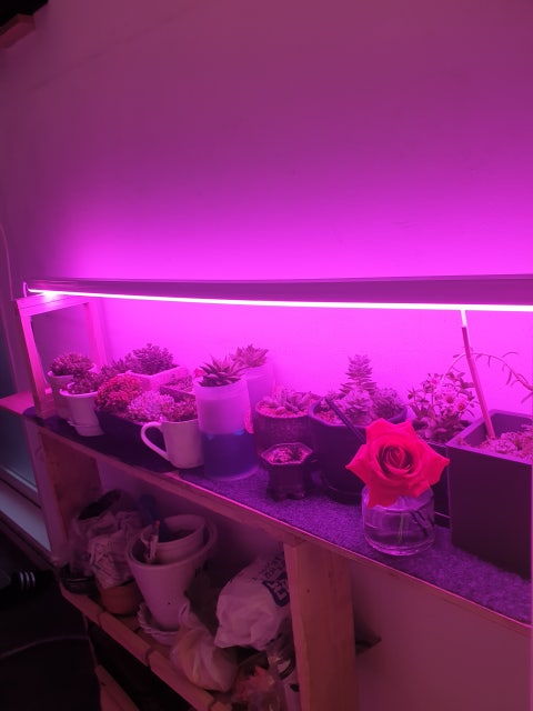 1591704752150.jpg?type=w480