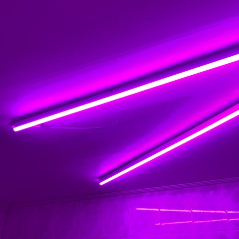 185516E0-C229-4BDC-94F8-69A4C163BDFE.jpeg?type=w480