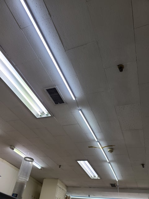 ce437e12b815c7a912b5c416755bcb65.jpeg?type=w480