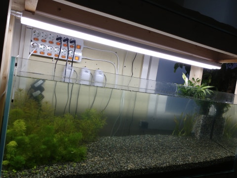 review-attachment-f88940ff-9456-4ed4-a128-40440595f733.jpeg?type=w480