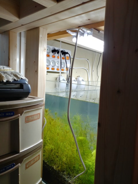 review-attachment-663b7b38-4df6-424e-819a-bbf43820307d.jpeg?type=w480