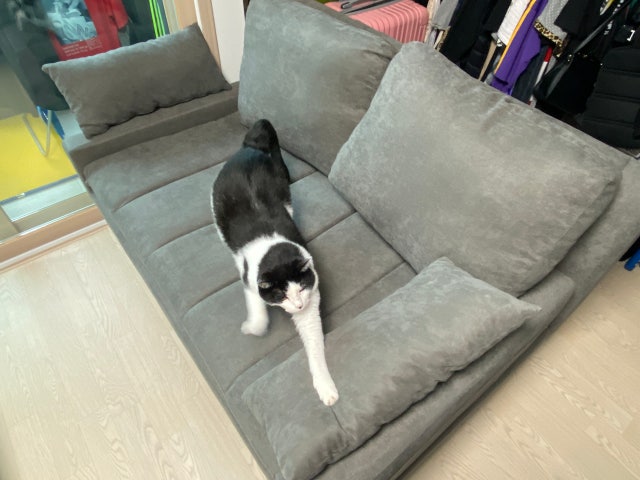 review-attachment-93d0f7ec-a713-4178-b23b-e1cb0f48d51e.jpeg?type=w640