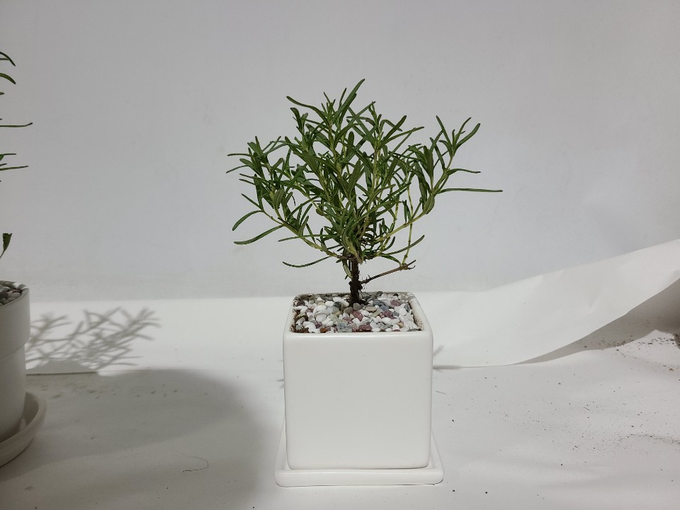 review-attachment-8b87baea-8b77-4a07-aaba-d4d3731834b5.jpeg
