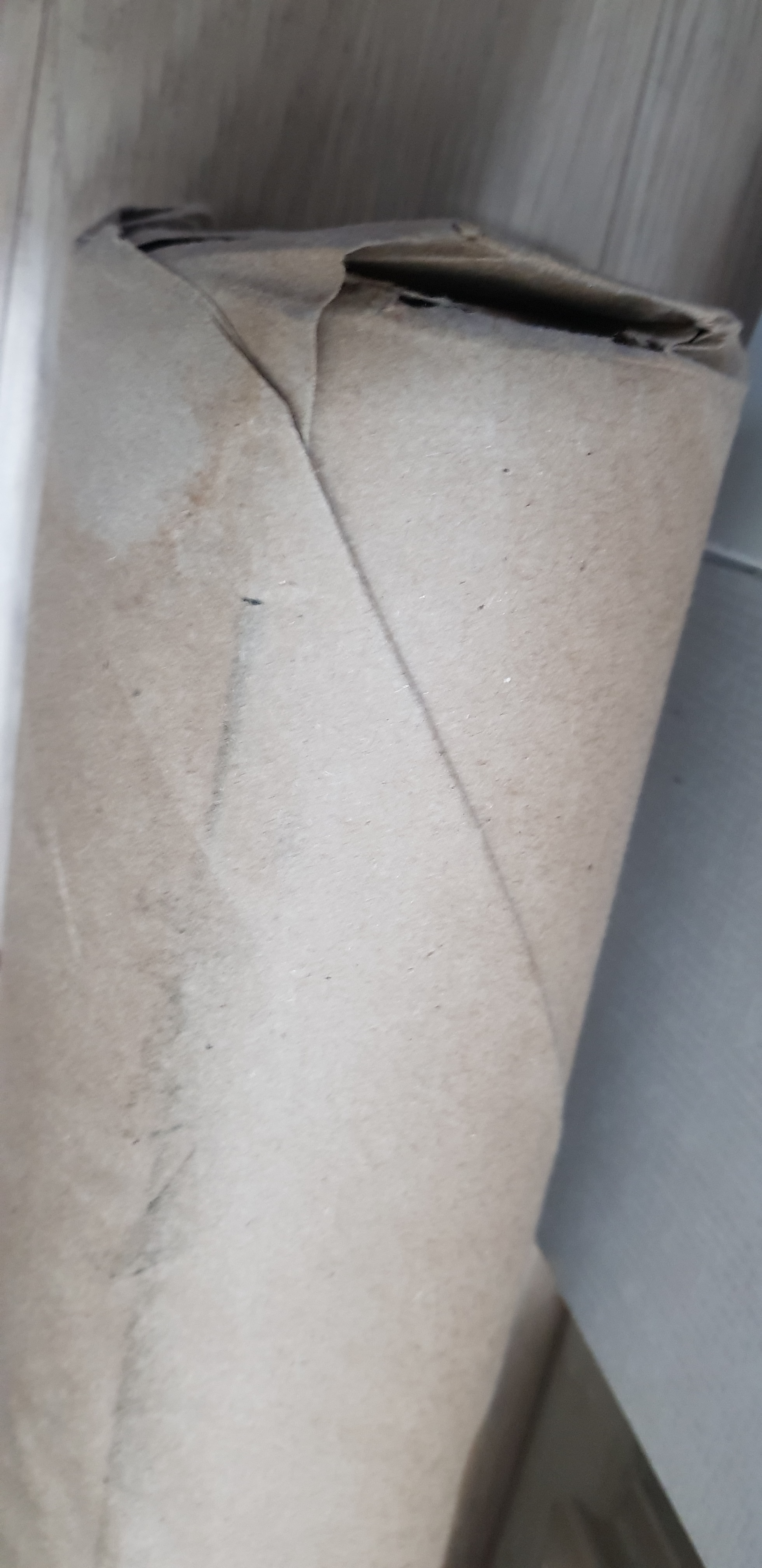 review-attachment-c39873b0-8ebf-404f-9156-b9569cffaba0.jpeg