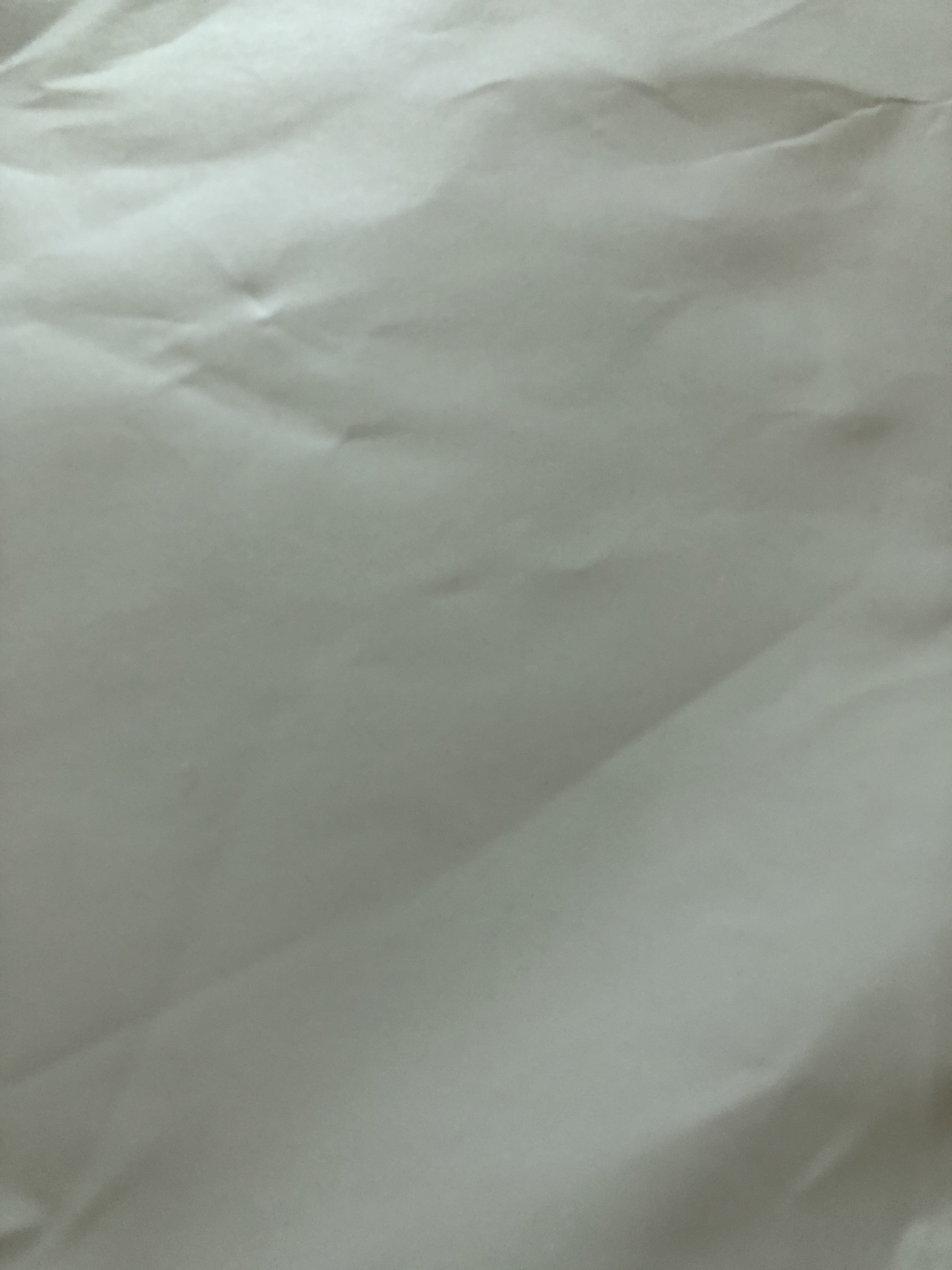 review-attachment-b31d211b-49a1-424f-b371-72e717880dfe.jpeg