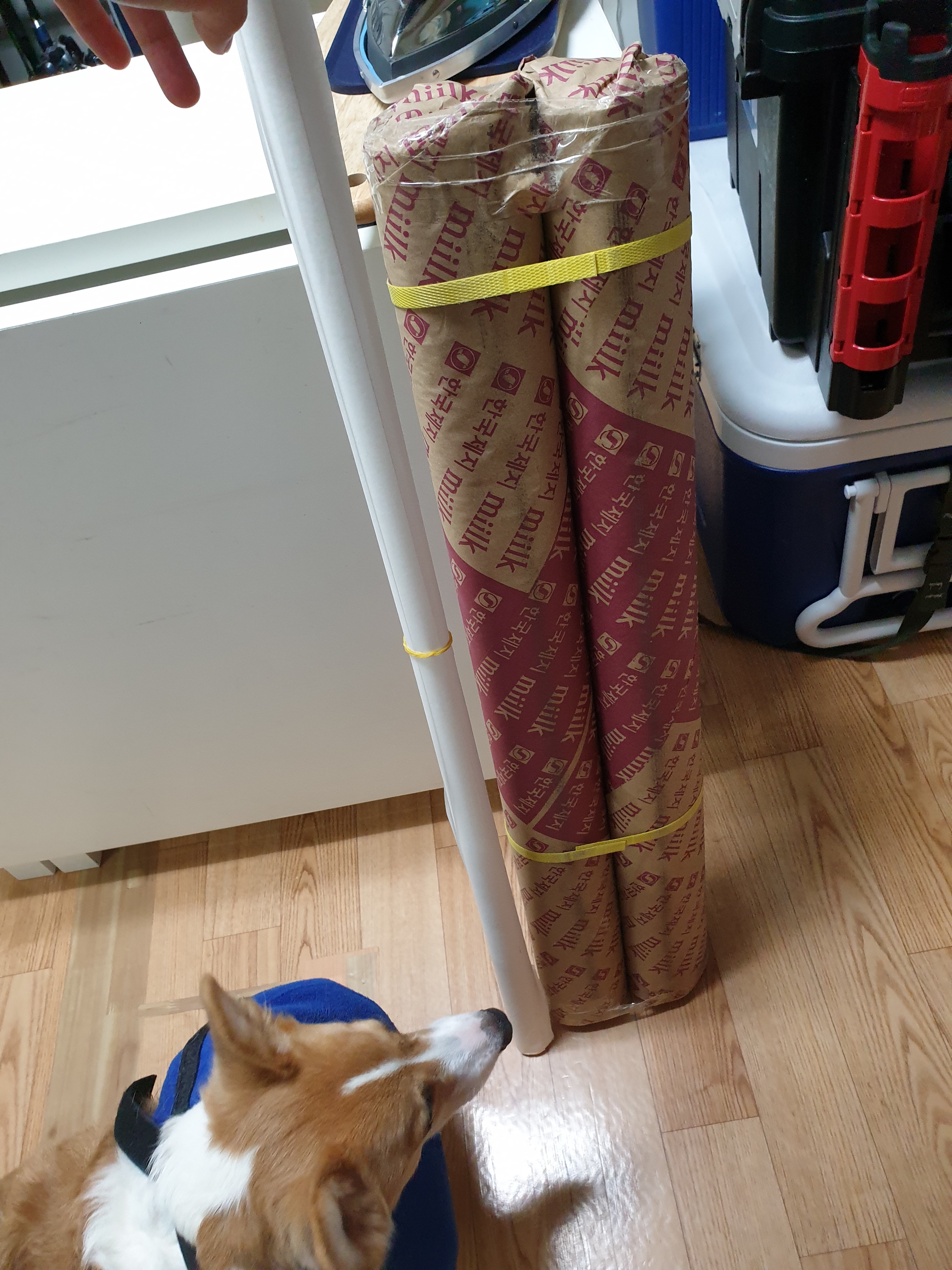 review-attachment-65789fc0-7693-43df-88a2-72c92a7dbd6f.jpeg