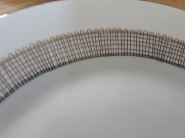 review-attachment-8f5a2706-d332-463e-abcb-59a0576bdb7b.jpeg?type=w640