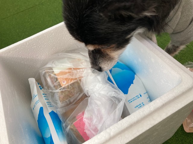 게시판 썸네일