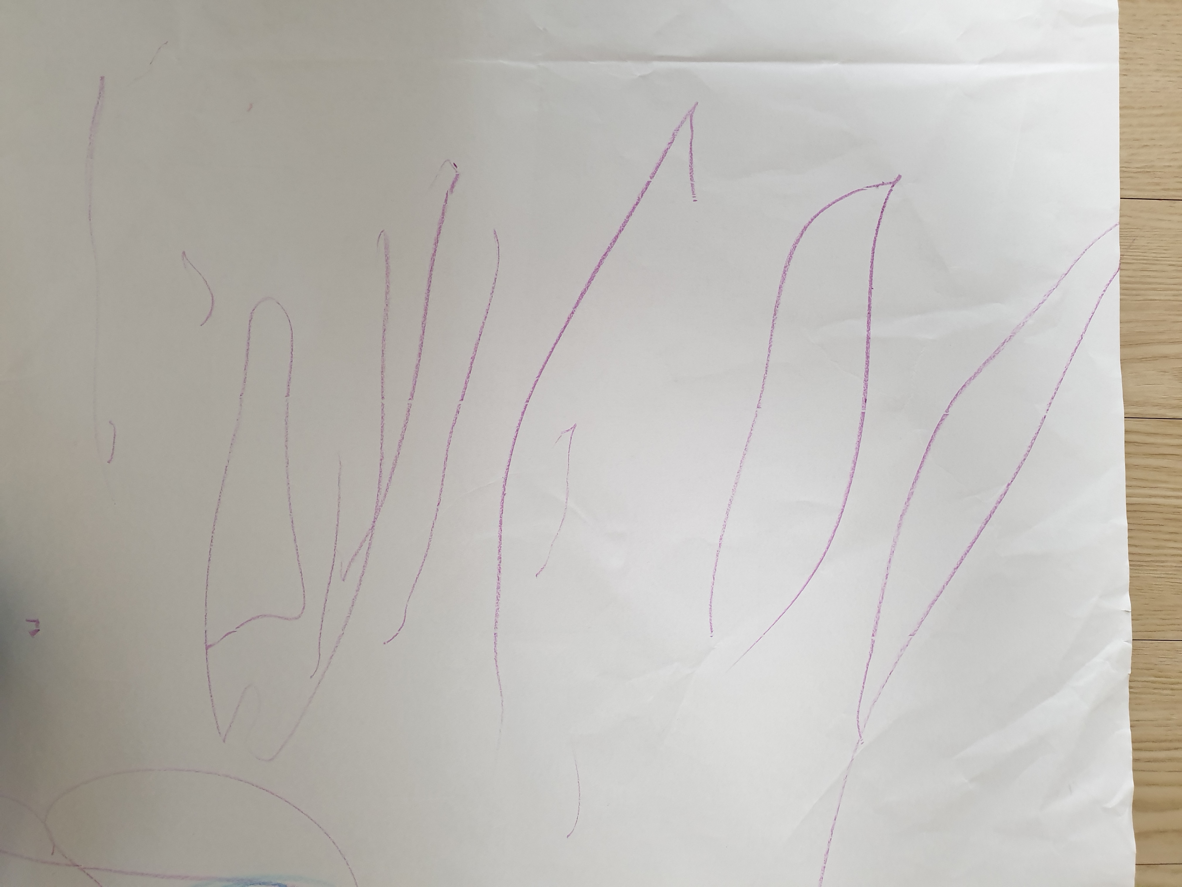 review-attachment-1c36f227-1223-45b0-9f1a-5b394915e963.jpeg