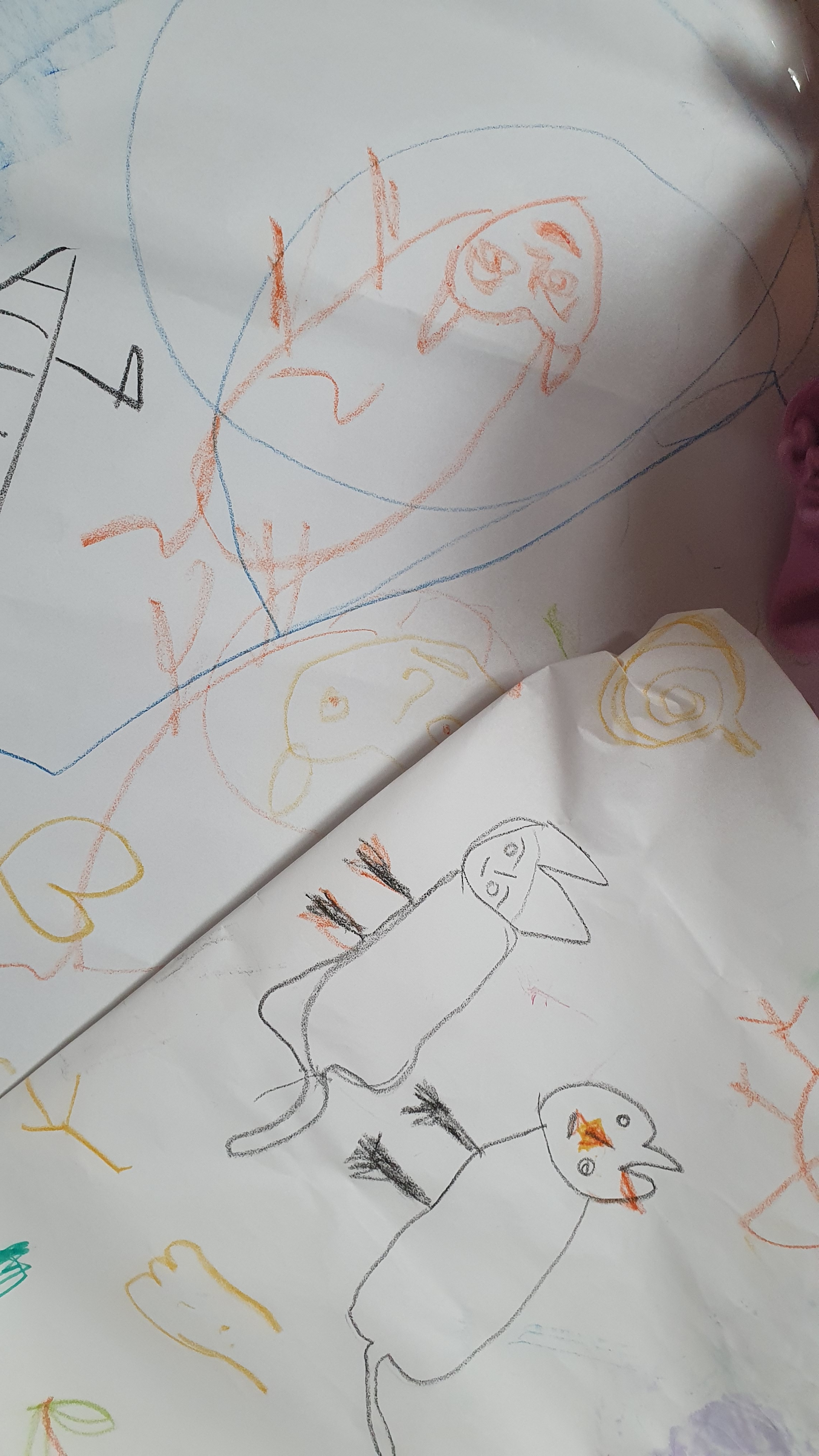 review-attachment-4daefc47-22b8-4b23-8fae-05c06f18026b.jpeg