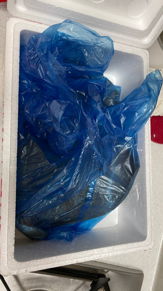 review-attachment-f47574c0-032a-4453-ae9d-9ff592b93230.jpeg?type=w640