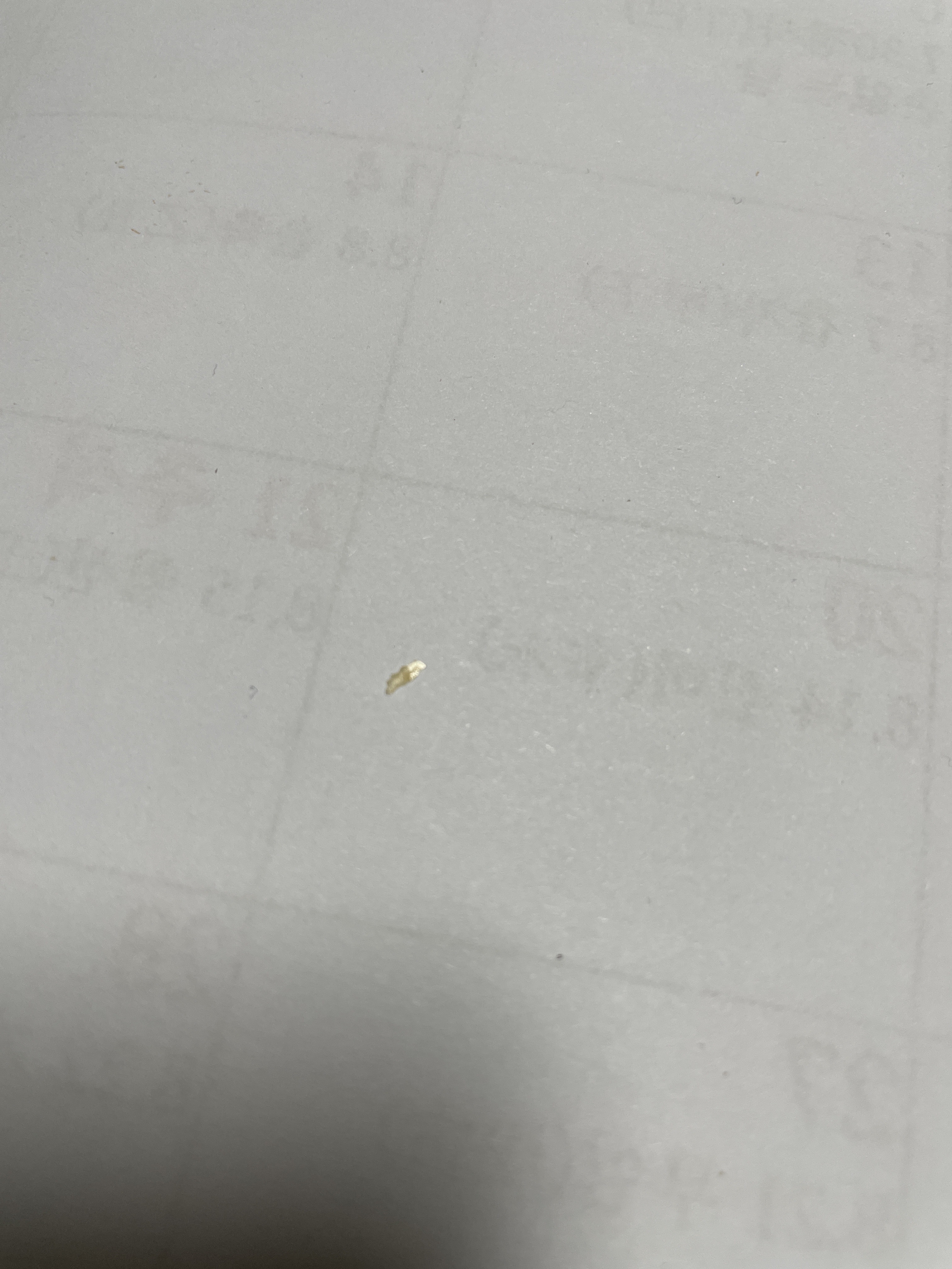 review-attachment-a5957b70-87cb-449e-96ce-b24e726d463f.jpeg