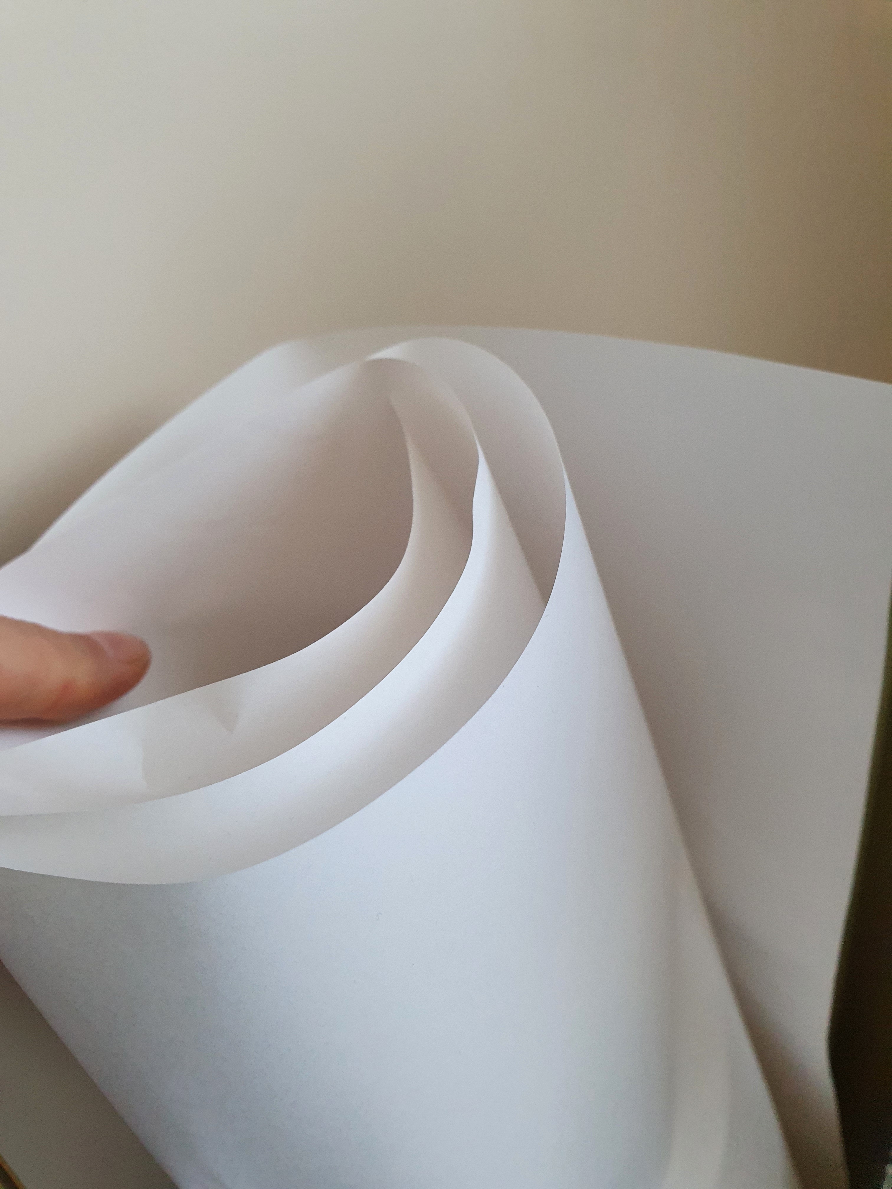 review-attachment-49eb3003-c99c-48d0-ad64-87ce9d625a1f.jpeg