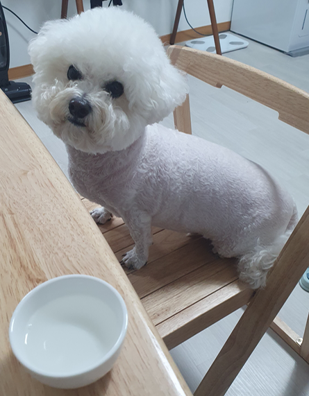 게시판 썸네일
