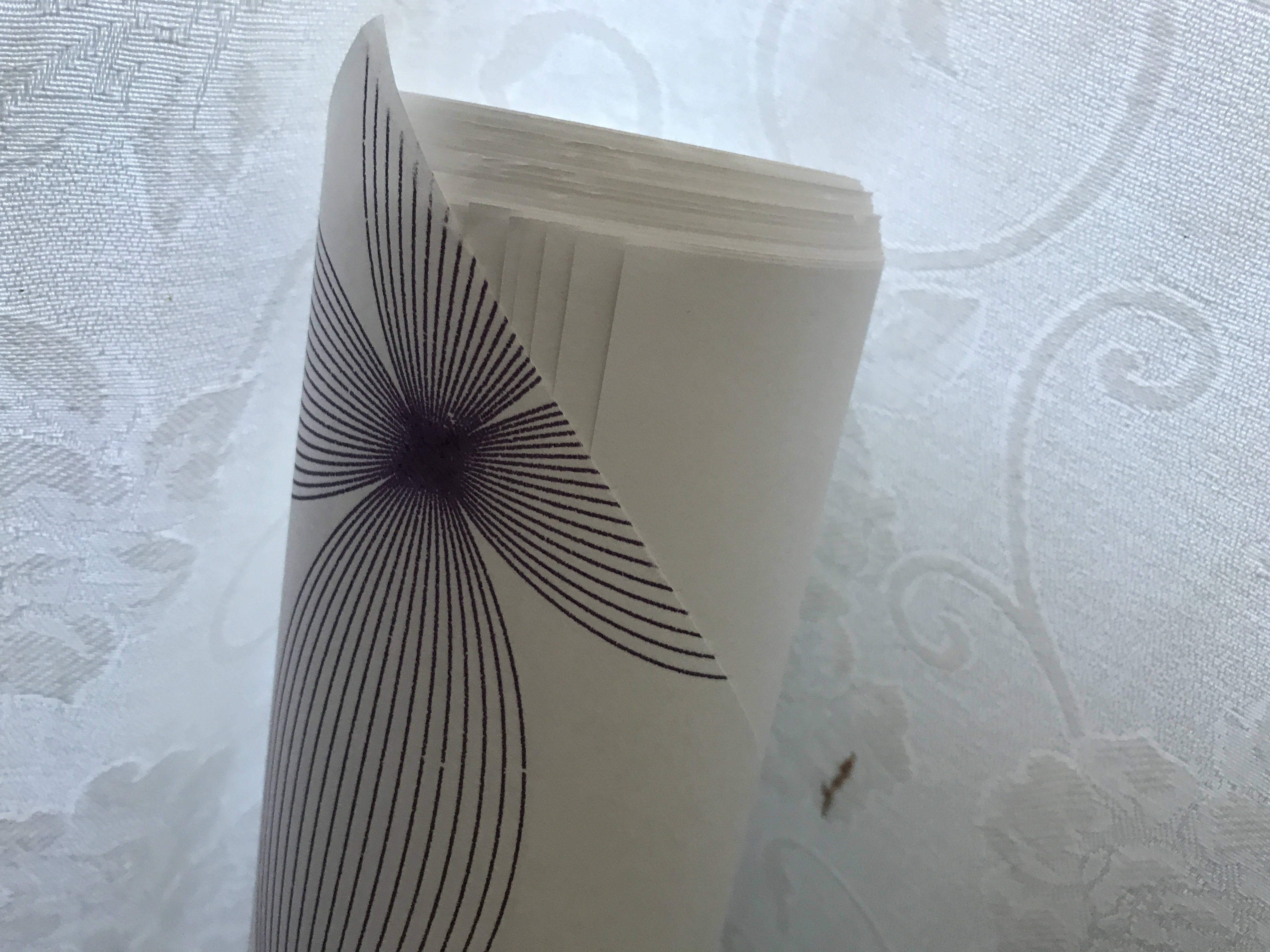 review-attachment-8be132e8-7a39-4564-8194-6d6b1adc8e6c.jpeg