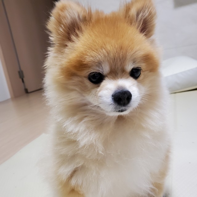 게시판 썸네일