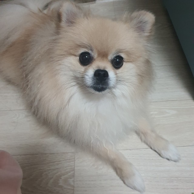 게시판 썸네일