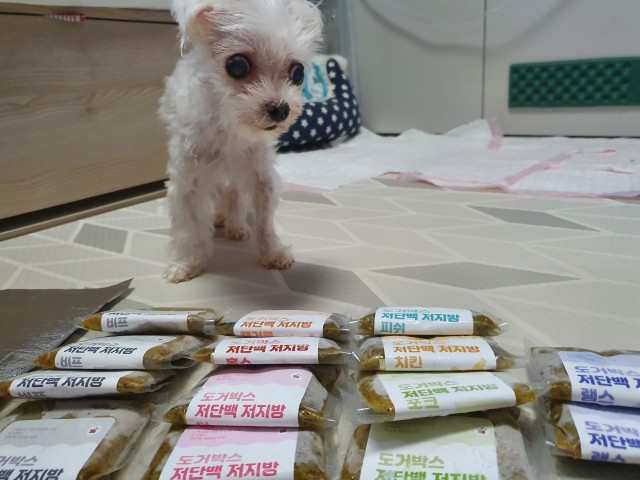 게시판 썸네일